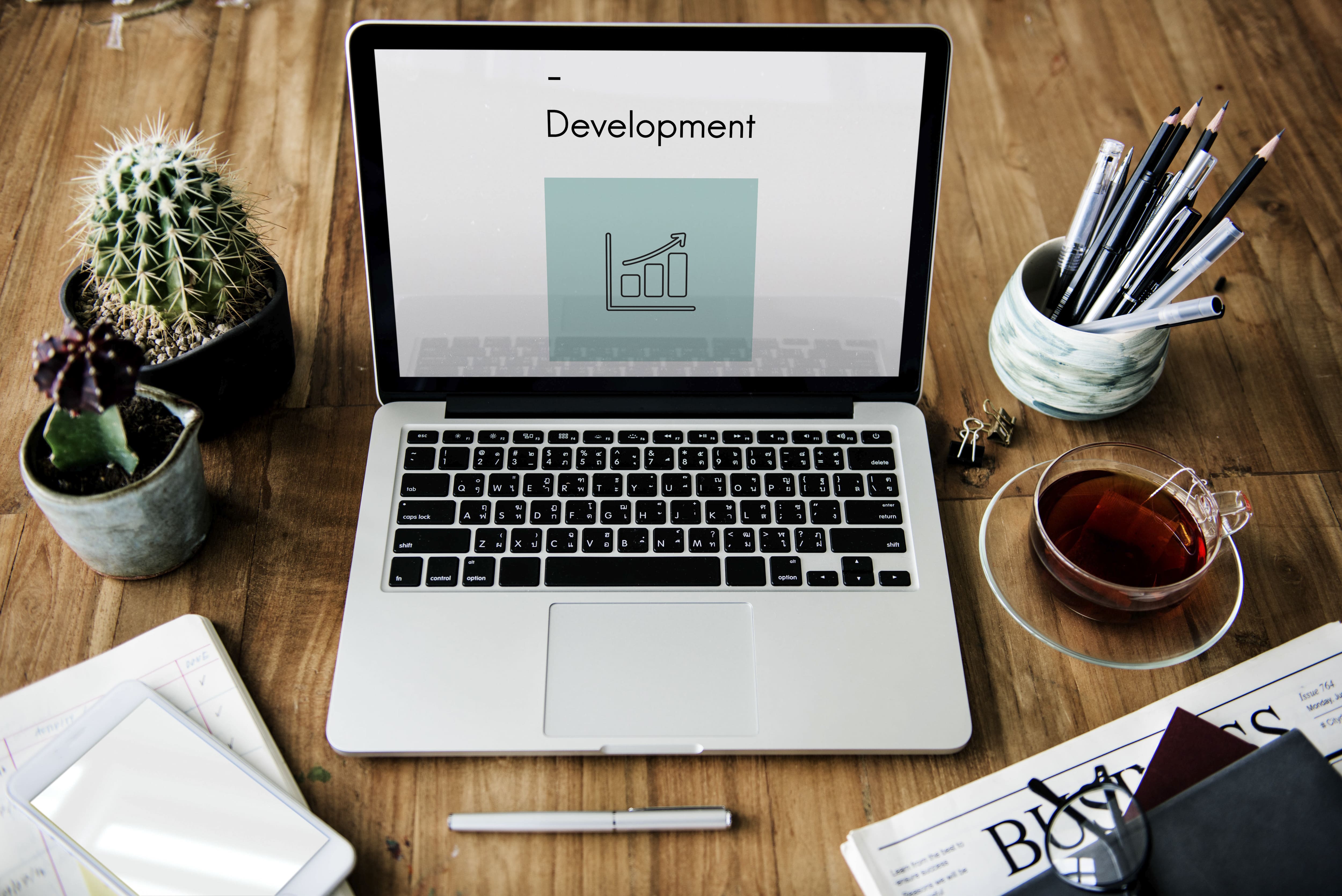 Website development